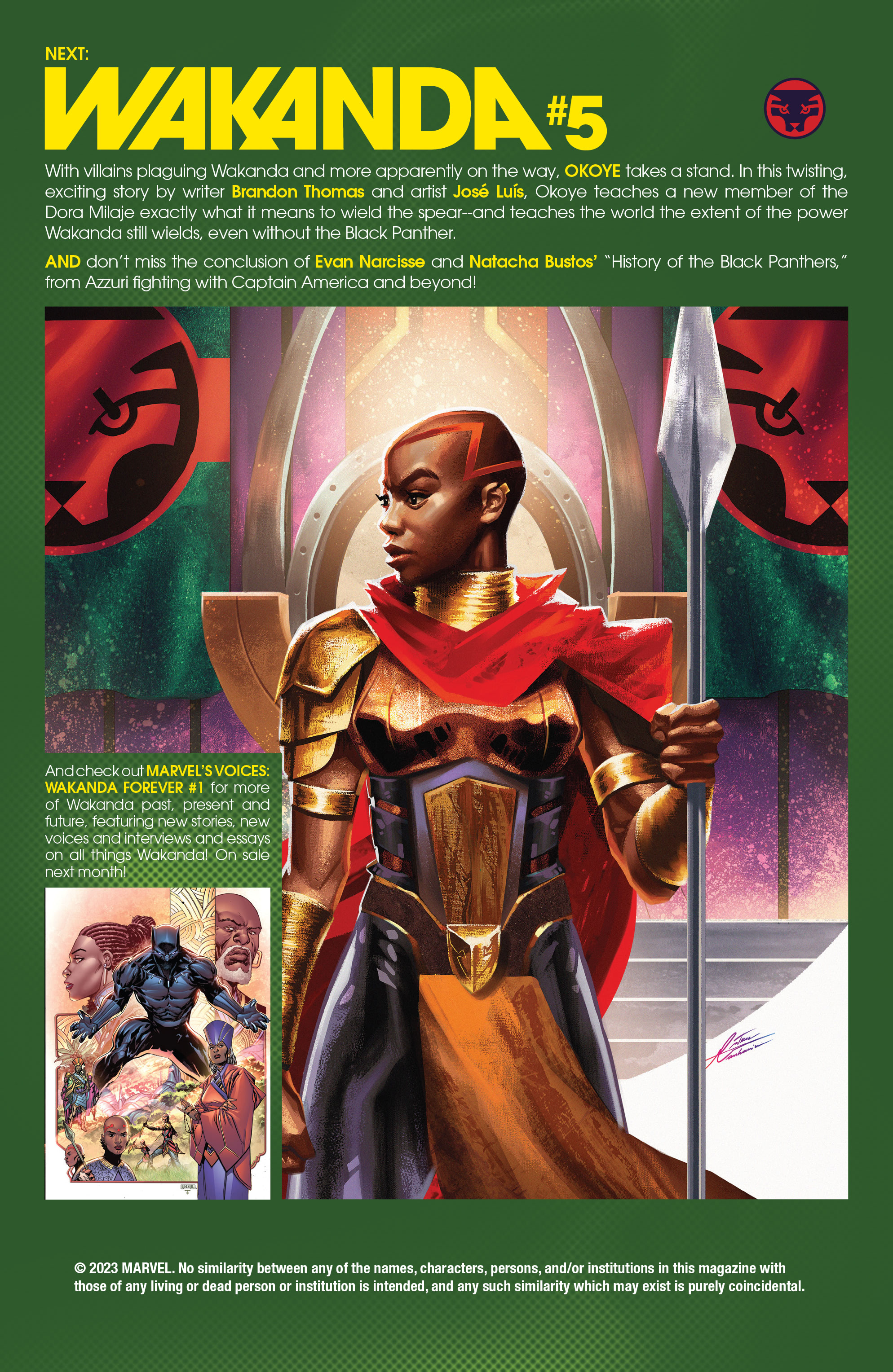 Read online Wakanda comic -  Issue #4 - 25