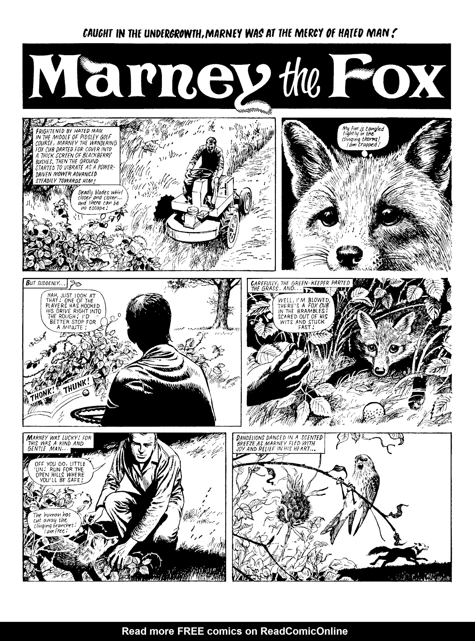 Read online Marney the Fox comic -  Issue # TPB (Part 1) - 91