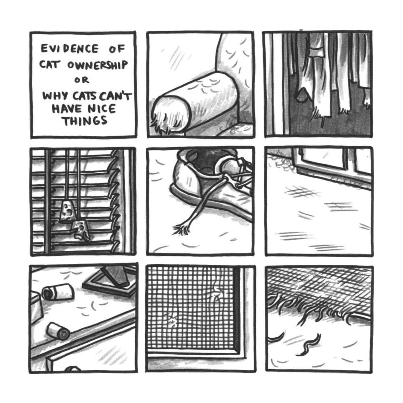 Read online Cats are Weird and More Observations comic -  Issue # TPB - 73