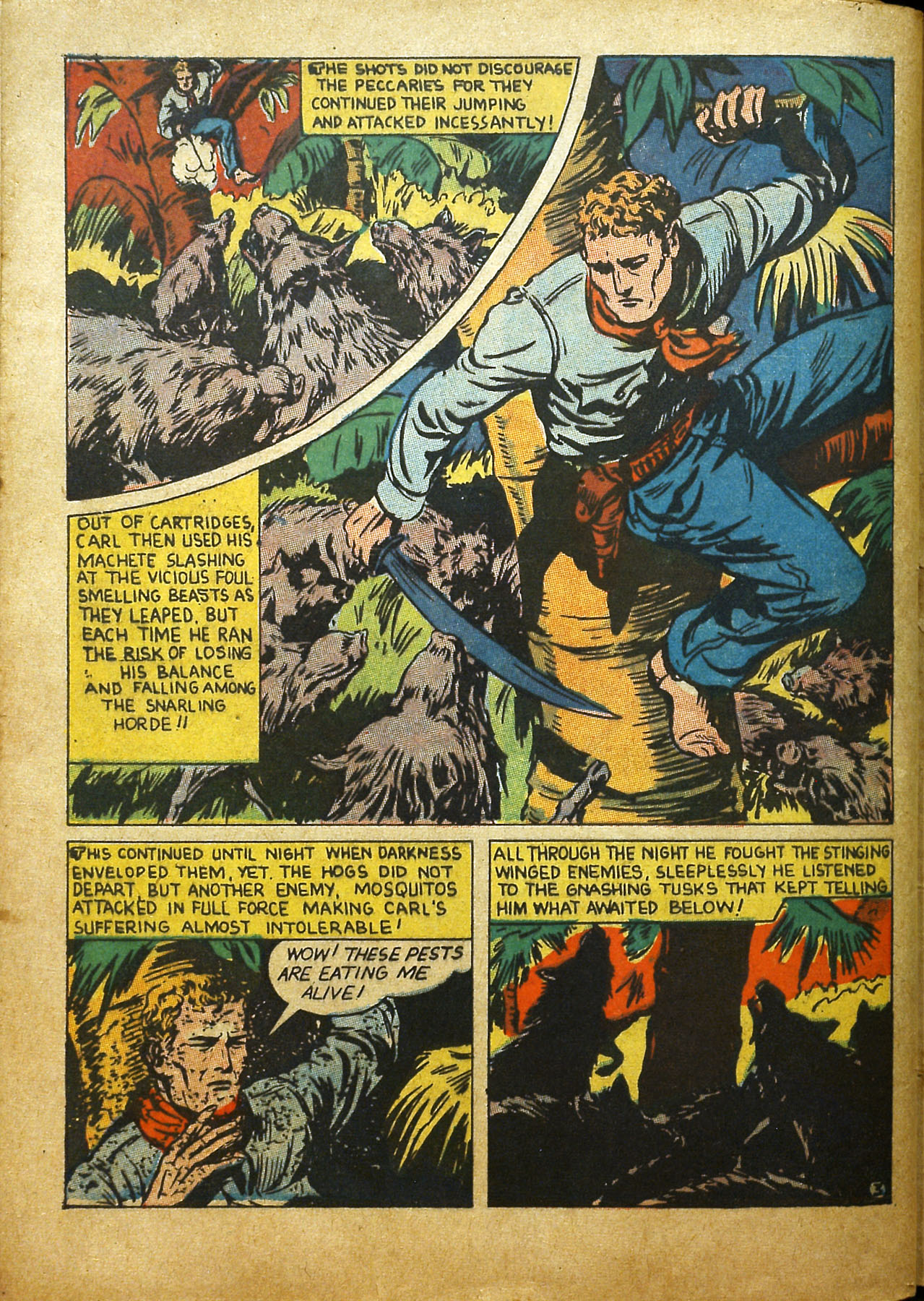 Read online Cat-Man Comics comic -  Issue #19 - 57