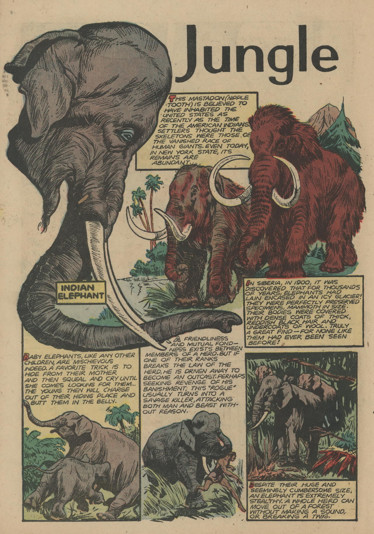 Read online Jungle Comics comic -  Issue #109 - 40