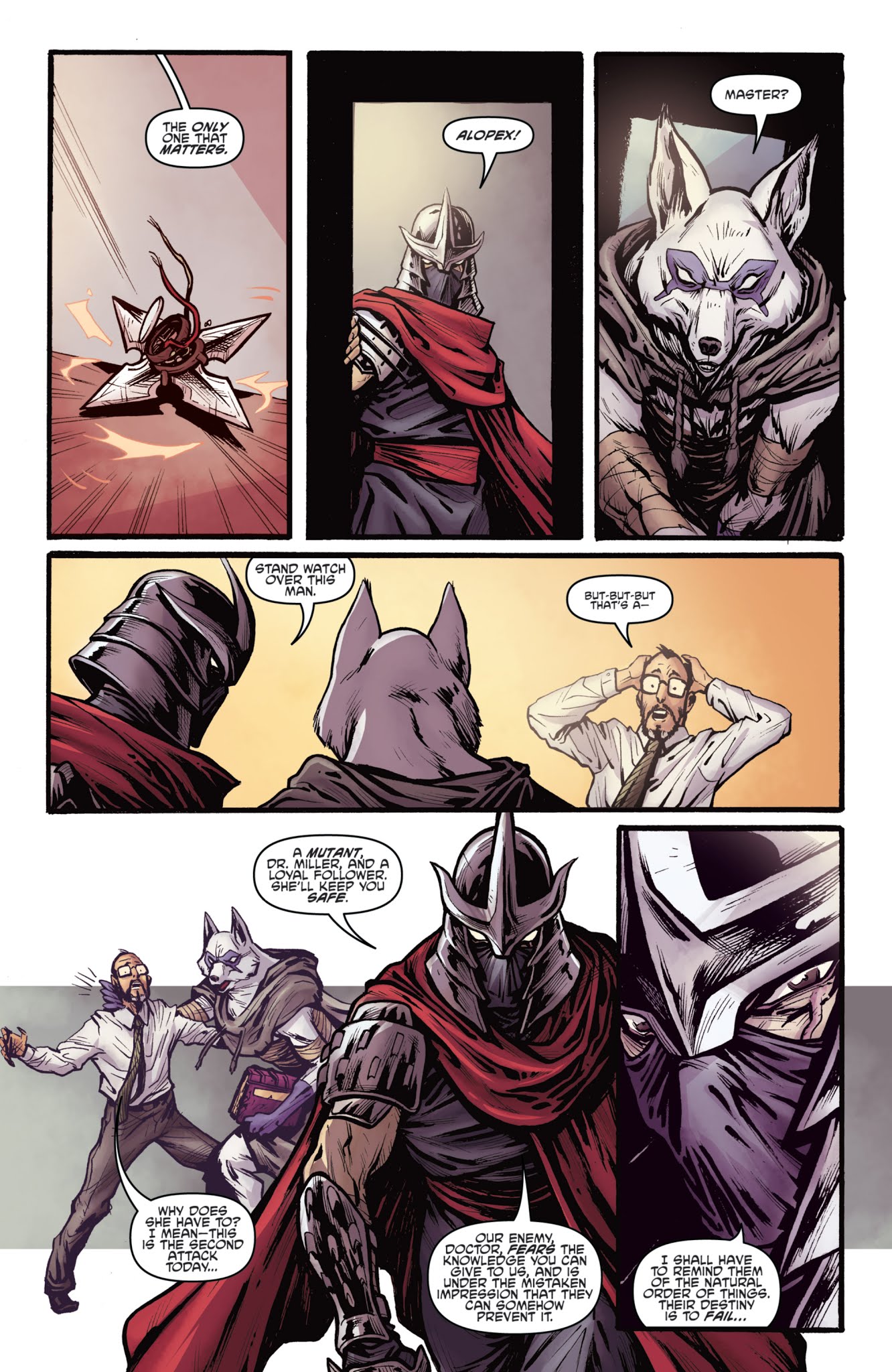 Read online Teenage Mutant Ninja Turtles: The IDW Collection comic -  Issue # TPB 2 (Part 4) - 63
