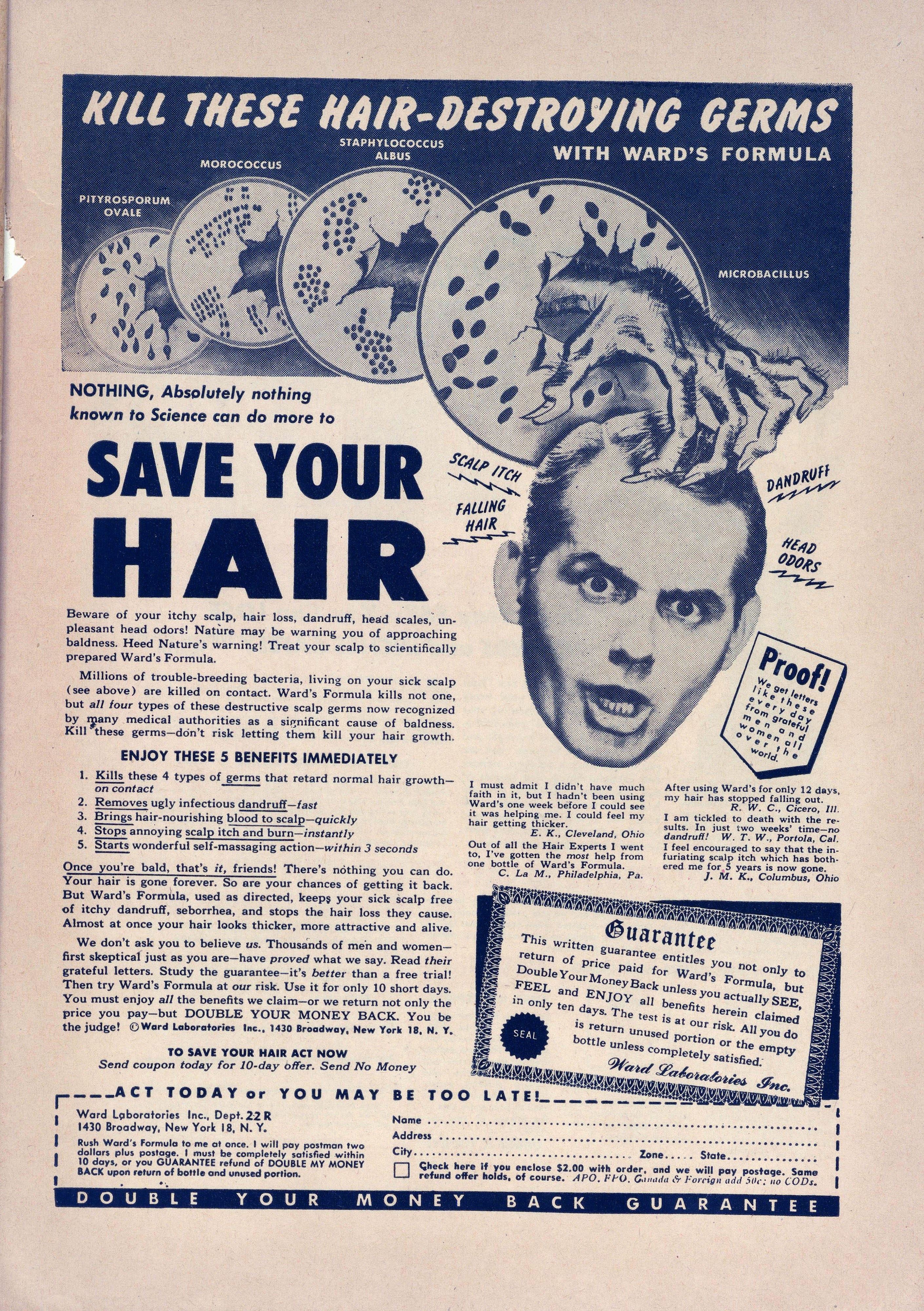 Read online It's A Duck's Life comic -  Issue #9 - 35