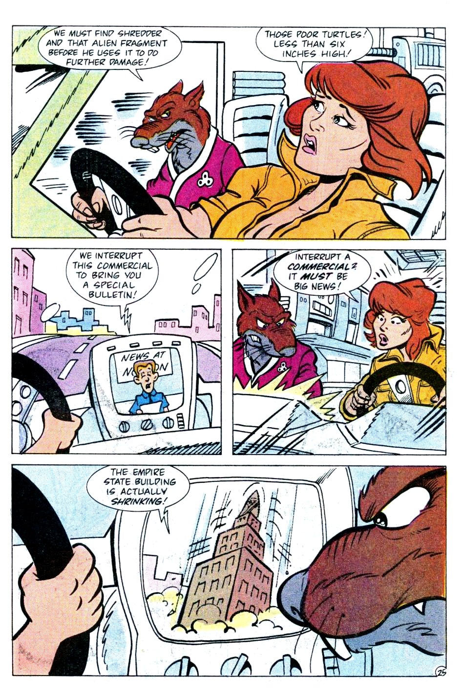 Read online Teenage Mutant Ninja Turtles Adventures (1989) comic -  Issue #3 - 26