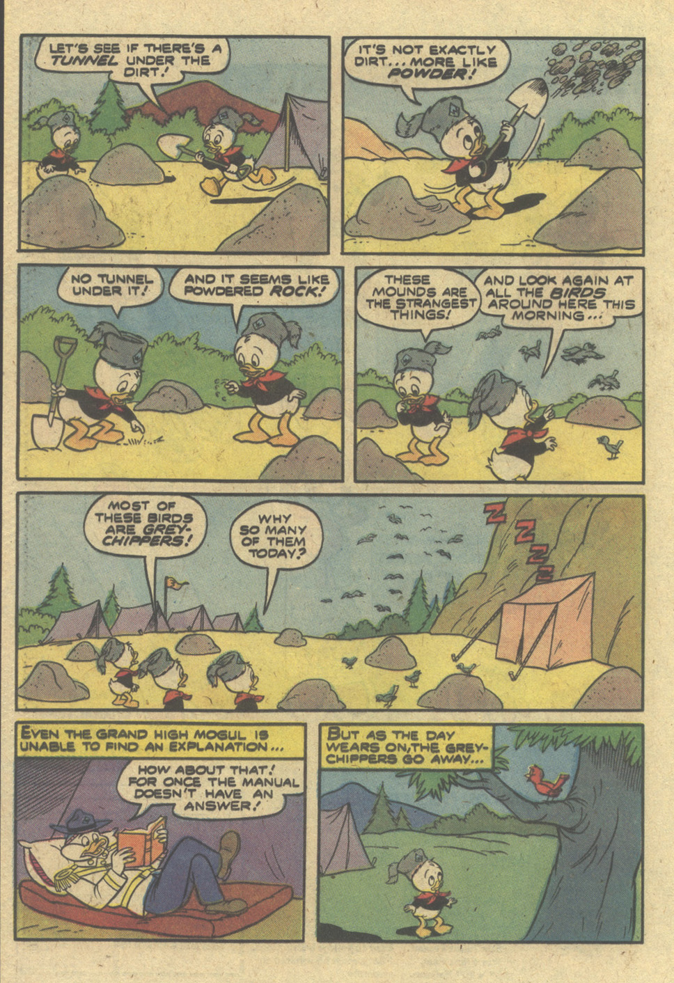 Read online Huey, Dewey, and Louie Junior Woodchucks comic -  Issue #51 - 20