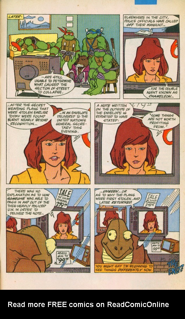 Teenage Mutant Ninja Turtles Adventures (1989) issue 9 - Page 29
