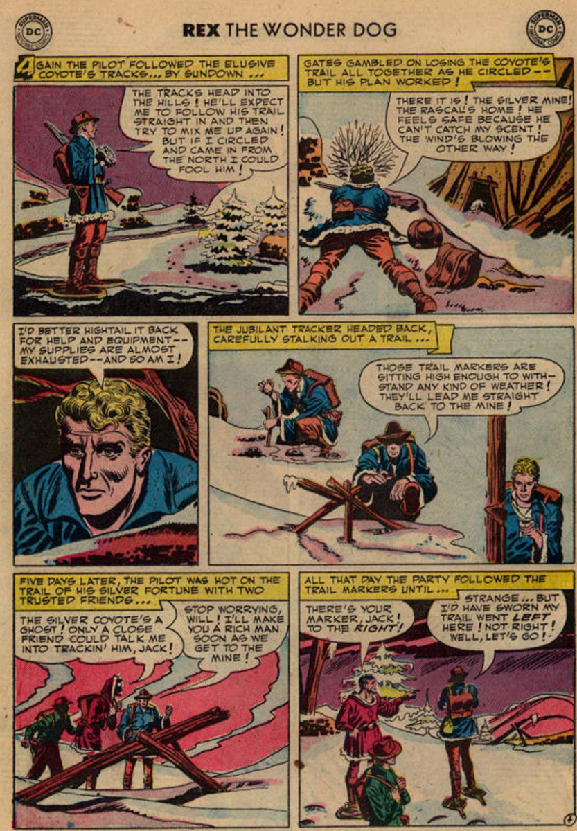 Read online The Adventures of Rex the Wonder Dog comic -  Issue #2 - 18