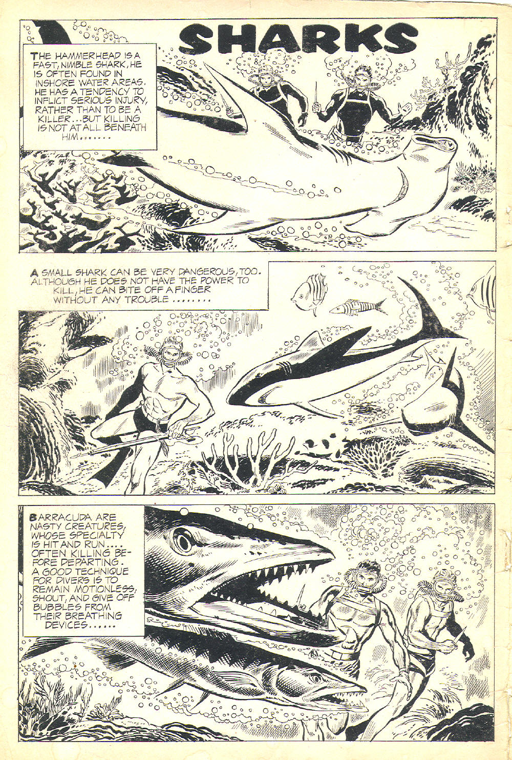 Read online The Frogmen comic -  Issue #4 - 2