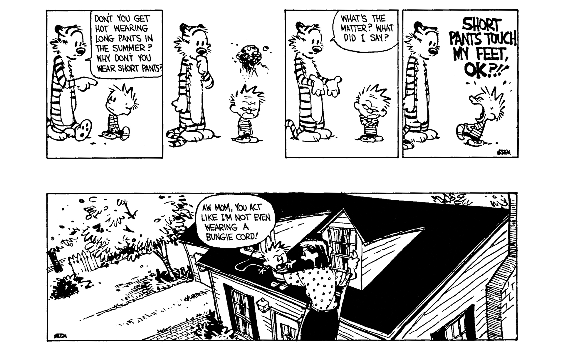 Read online Calvin and Hobbes comic -  Issue #7 - 28