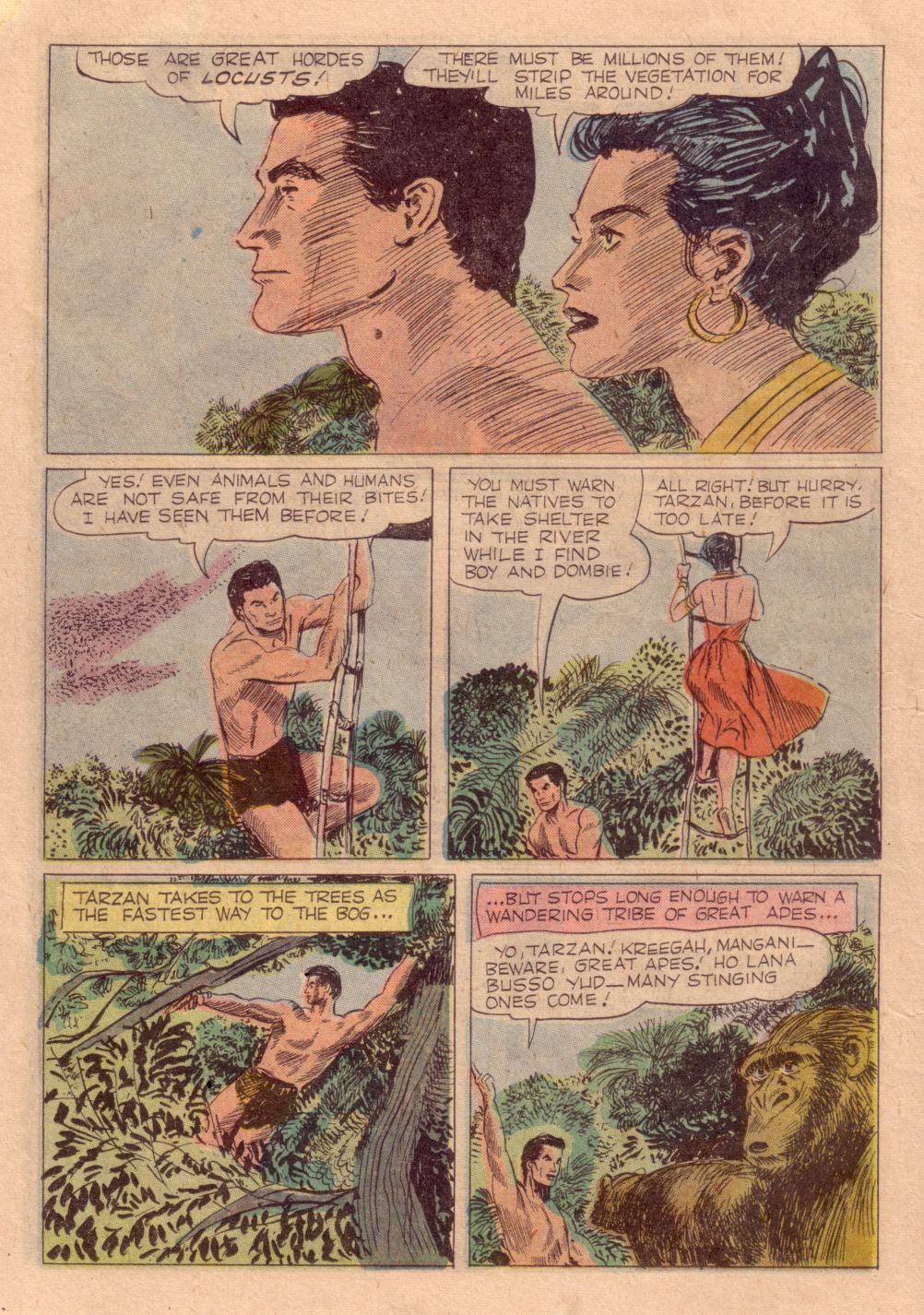 Read online Tarzan (1948) comic -  Issue #105 - 22