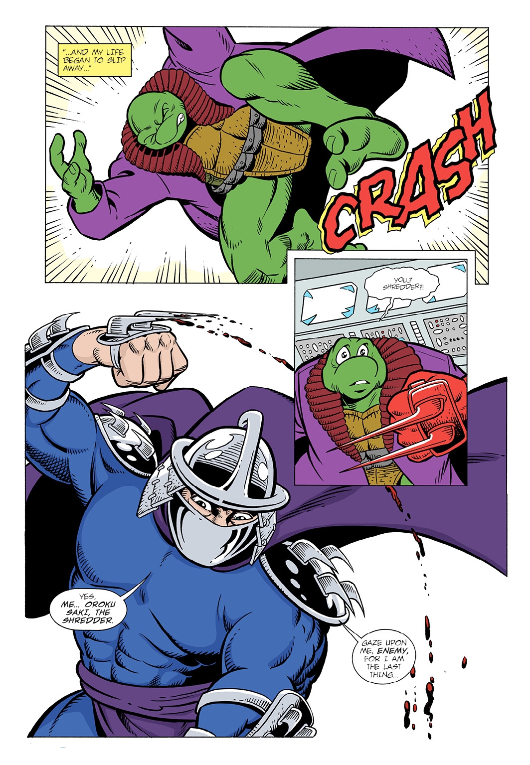 Read online Teenage Mutant Ninja Turtles Adventures (1989) comic -  Issue #73 - 10