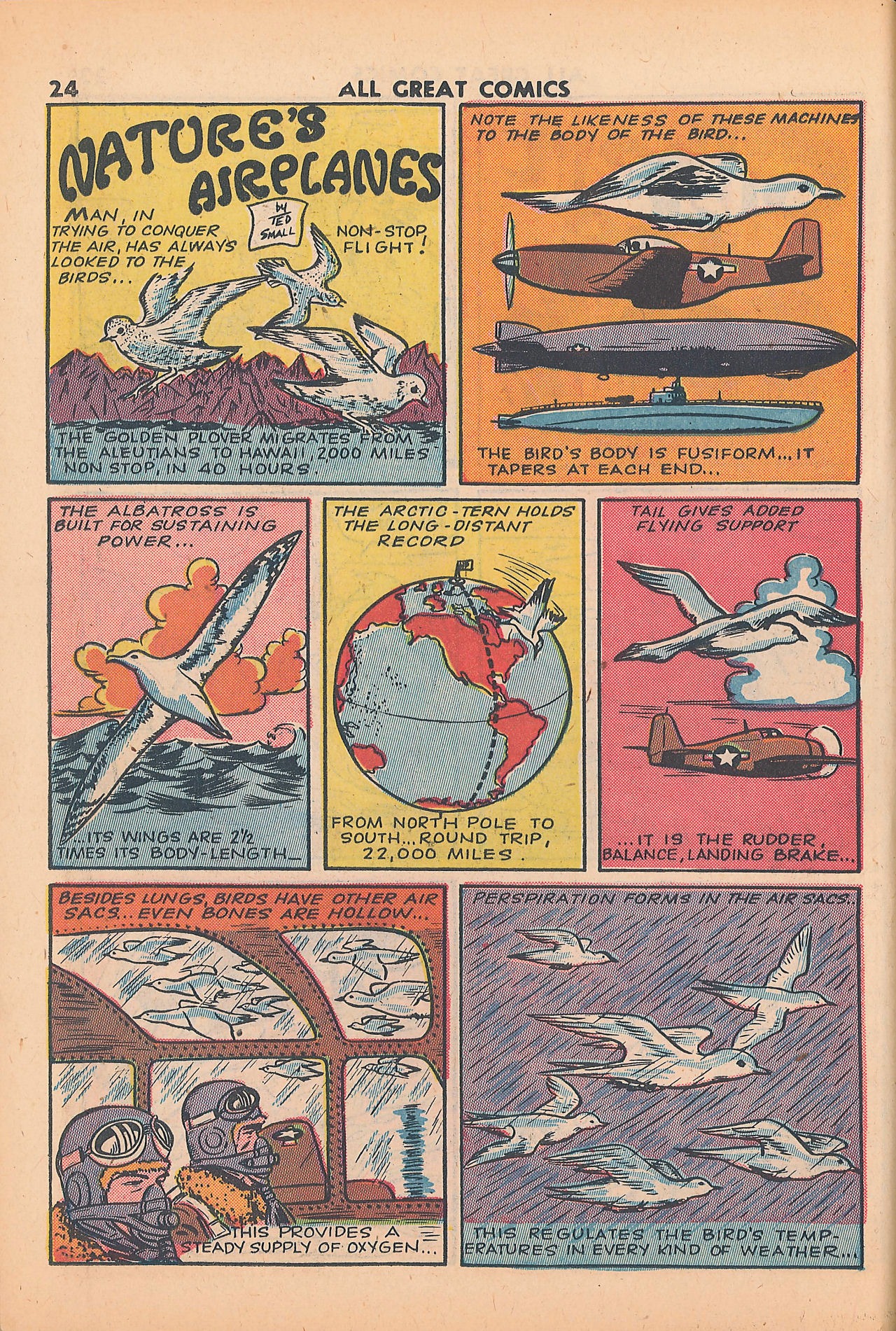 Read online Fox Comics Annual comic -  Issue # TPB 2 - 26