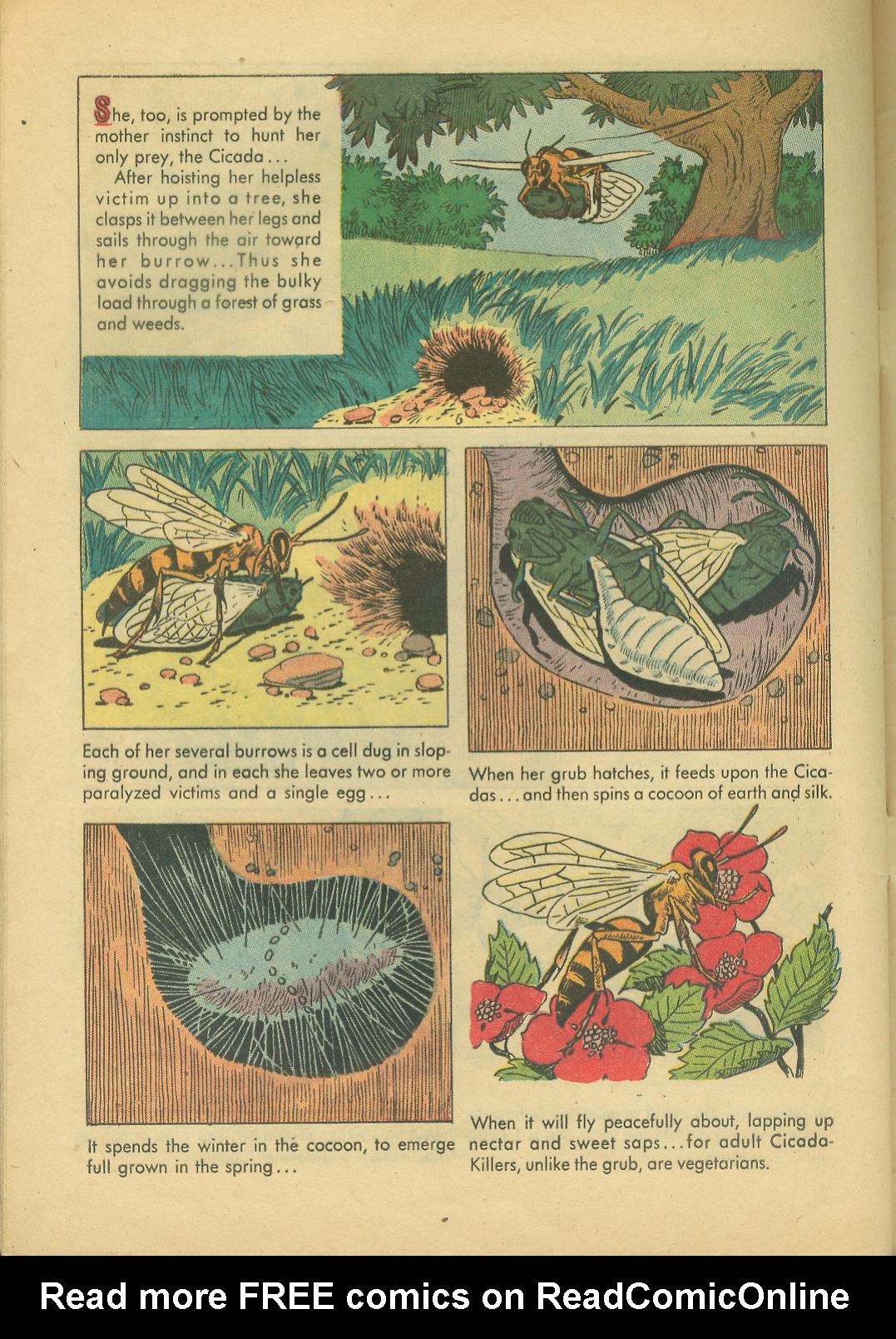 Read online Four Color Comics comic -  Issue #749 - 32