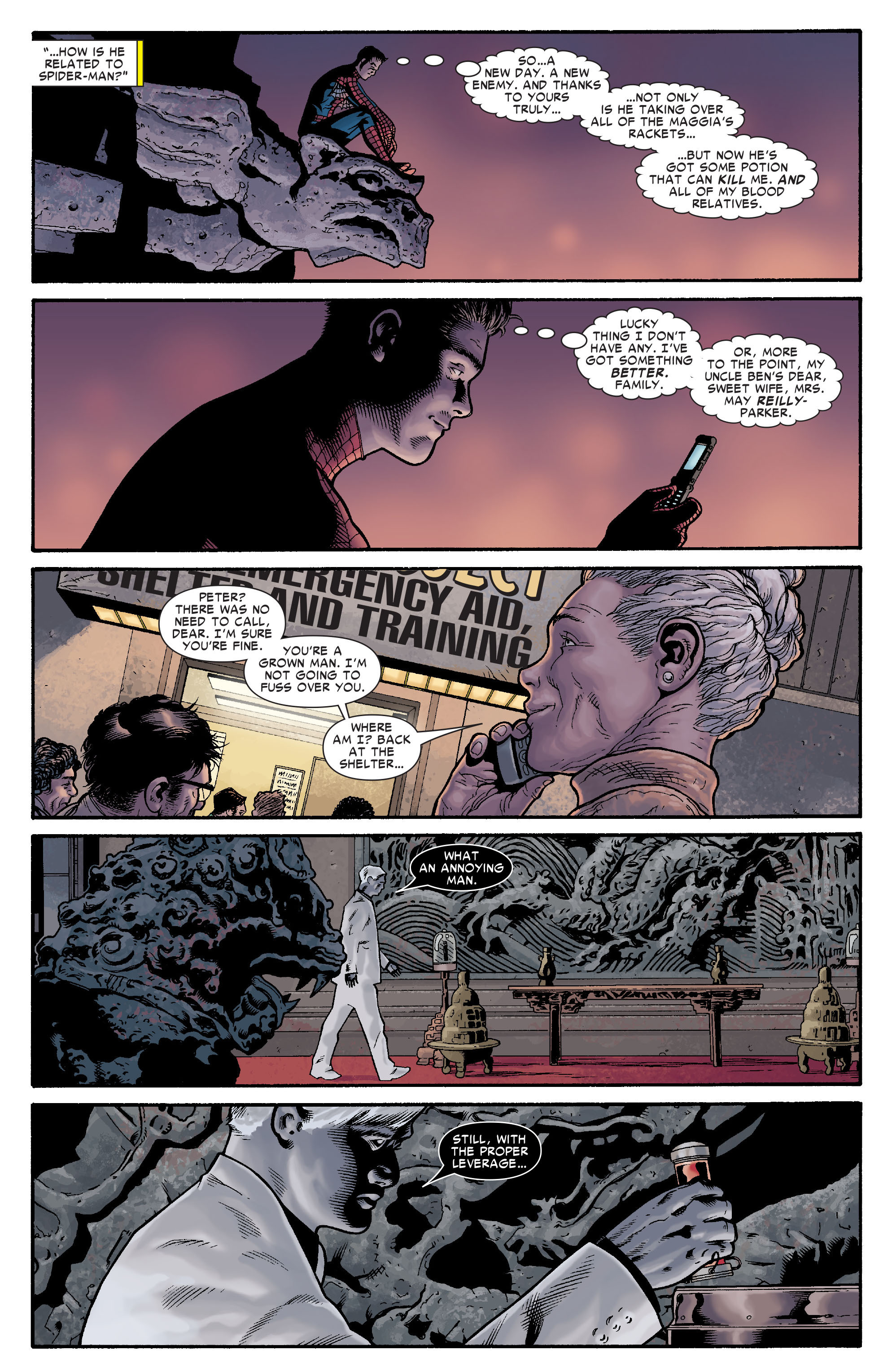 Read online Spider-Man: Brand New Day comic -  Issue # TPB - 85