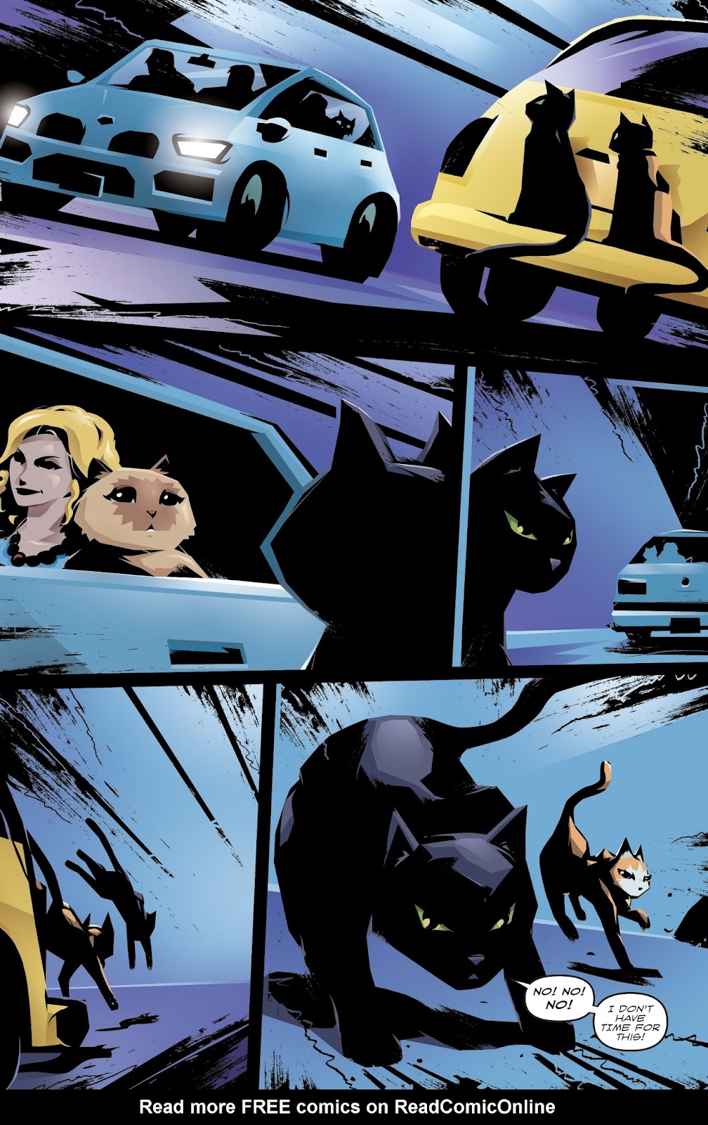 Hero Cats: Midnight Over Stellar City Vol. 2 issue 2 - Page 9