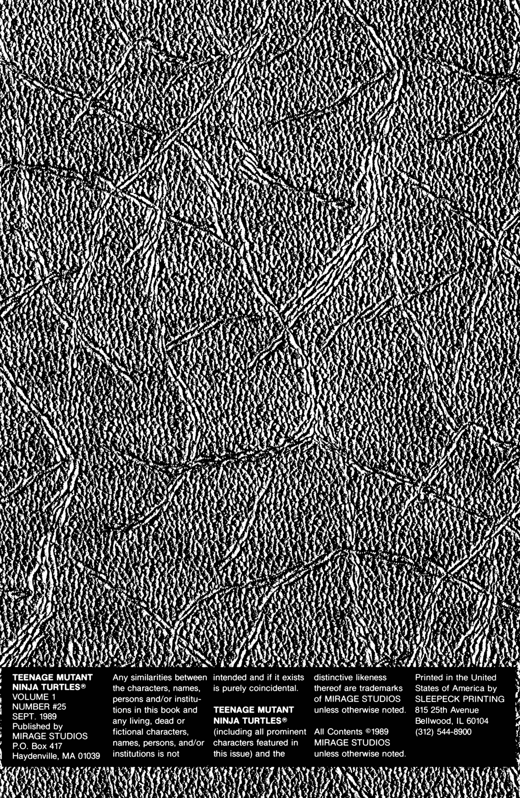 Read online Teenage Mutant Ninja Turtles (1984) comic -  Issue #25 - 43