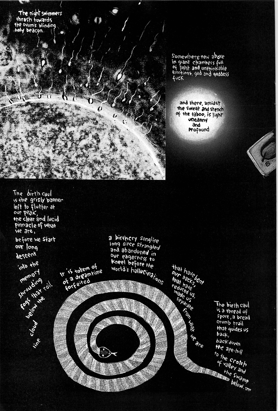 Read online The Birth Caul comic -  Issue # Full - 48