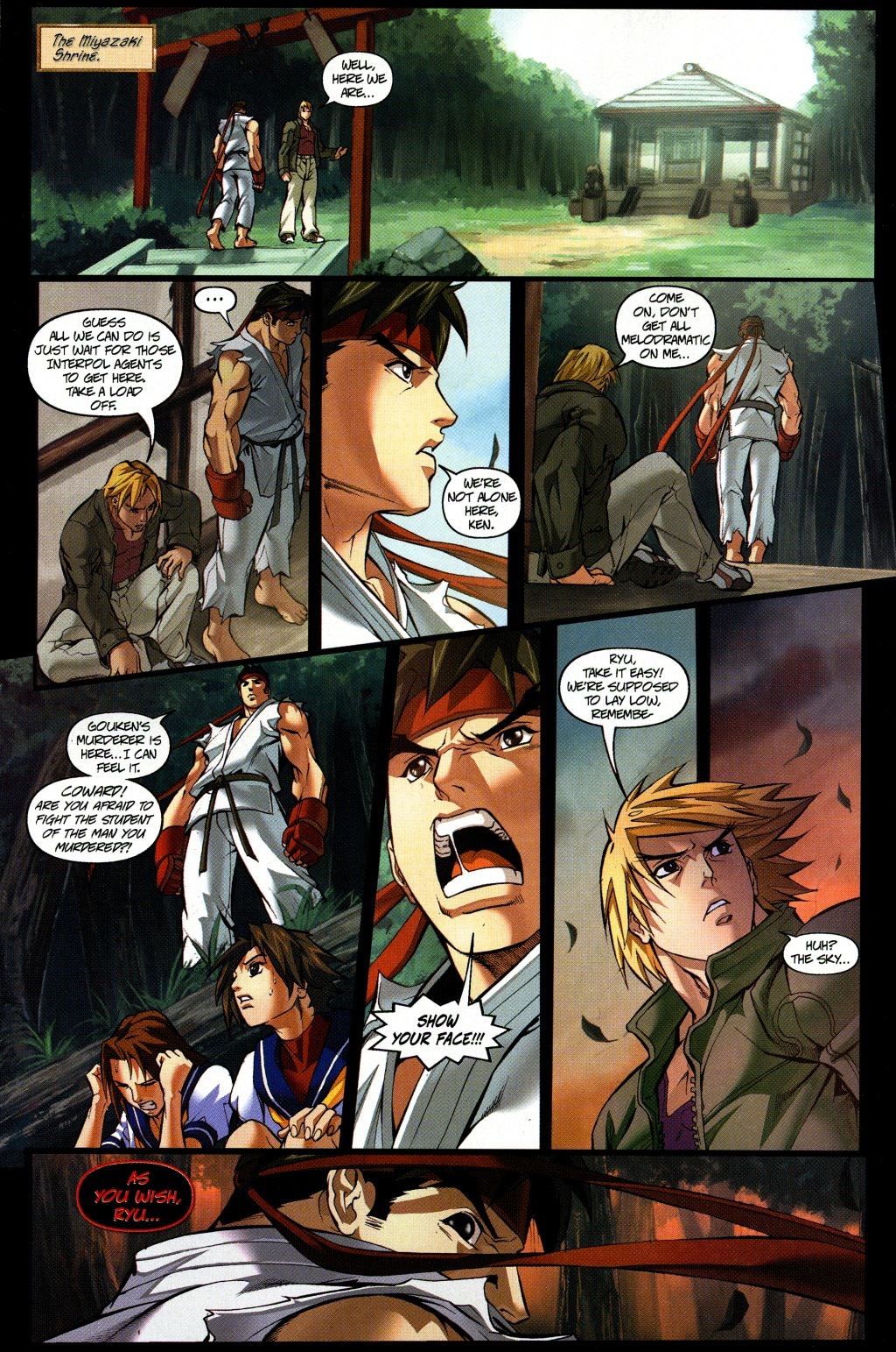 Read online Street Fighter (2003) comic -  Issue #5 - 20