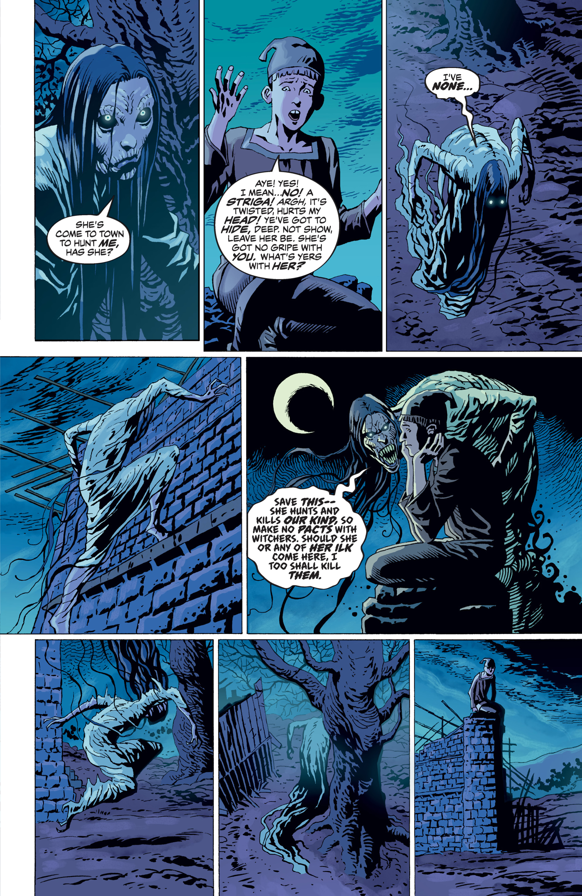 Read online The Witcher Omnibus comic -  Issue # TPB (Part 4) - 80