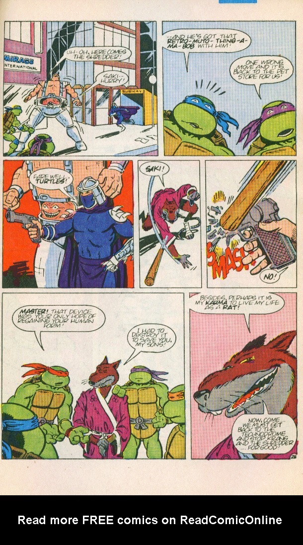 Teenage Mutant Ninja Turtles Adventures (1988) Issue #3 #3 - English 29