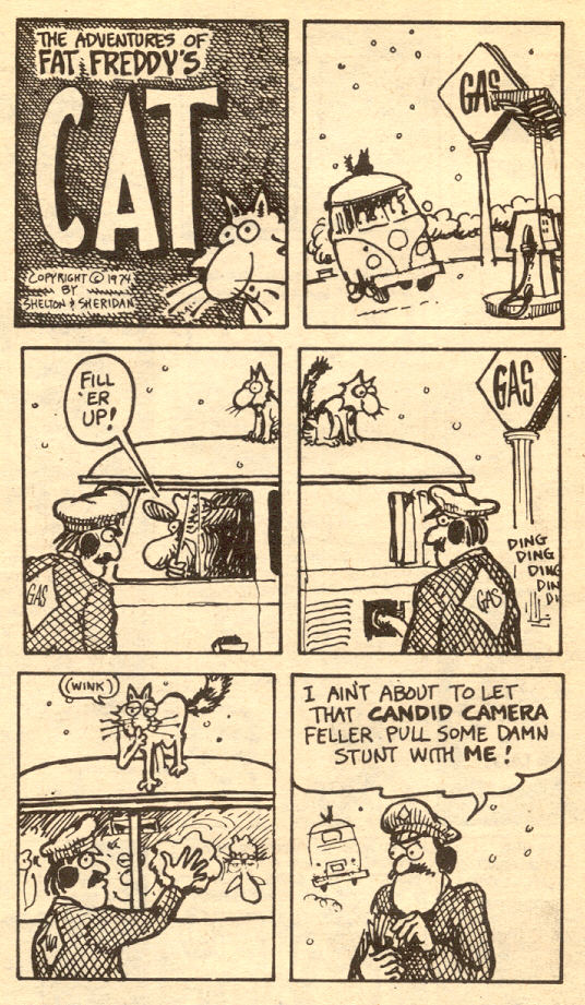 Read online Adventures of Fat Freddy's Cat comic -  Issue #2 - 30