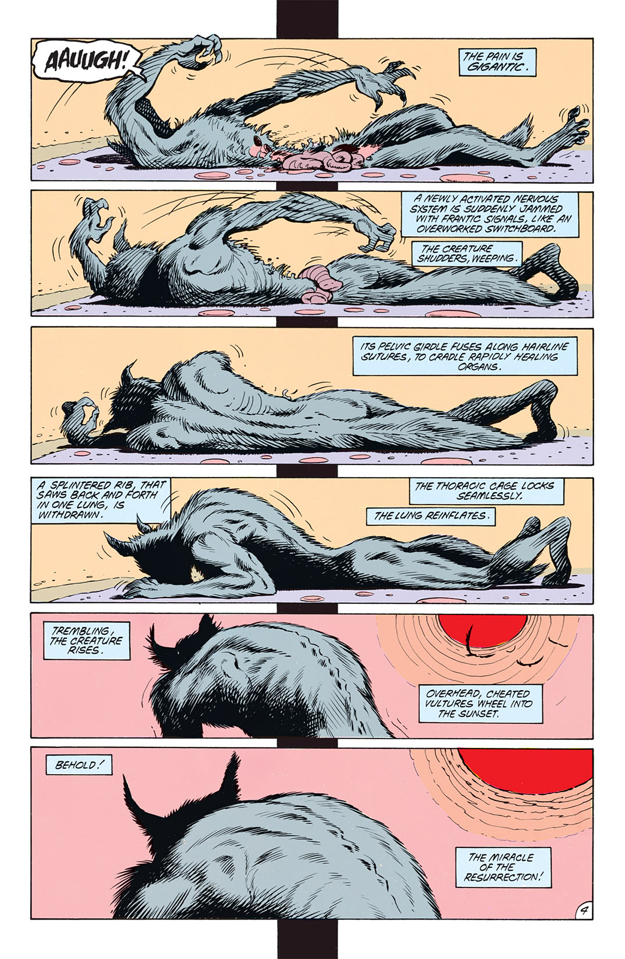 Read online Animal Man (1988) comic -  Issue #5 - 6