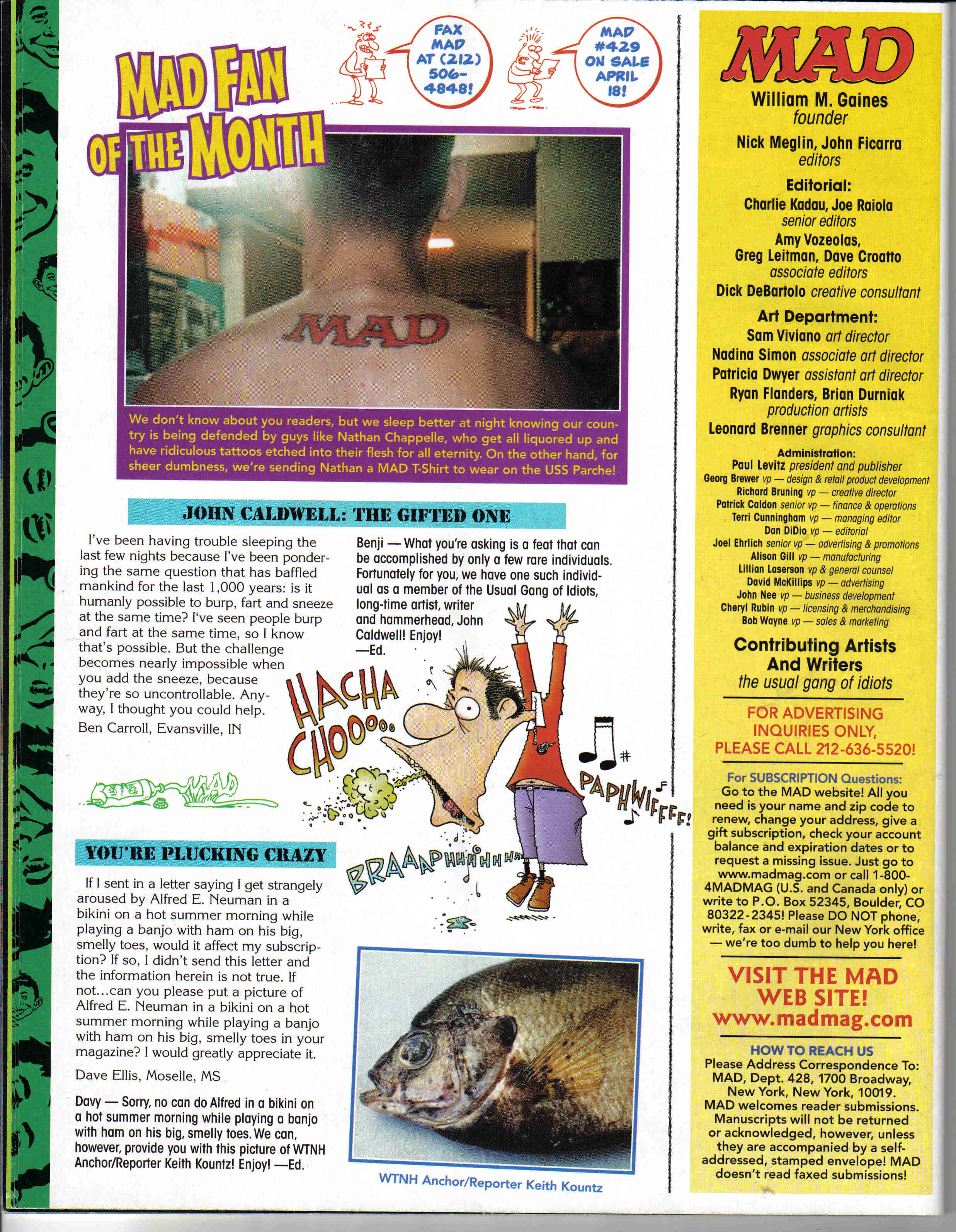 Read online MAD comic -  Issue #428 - 5