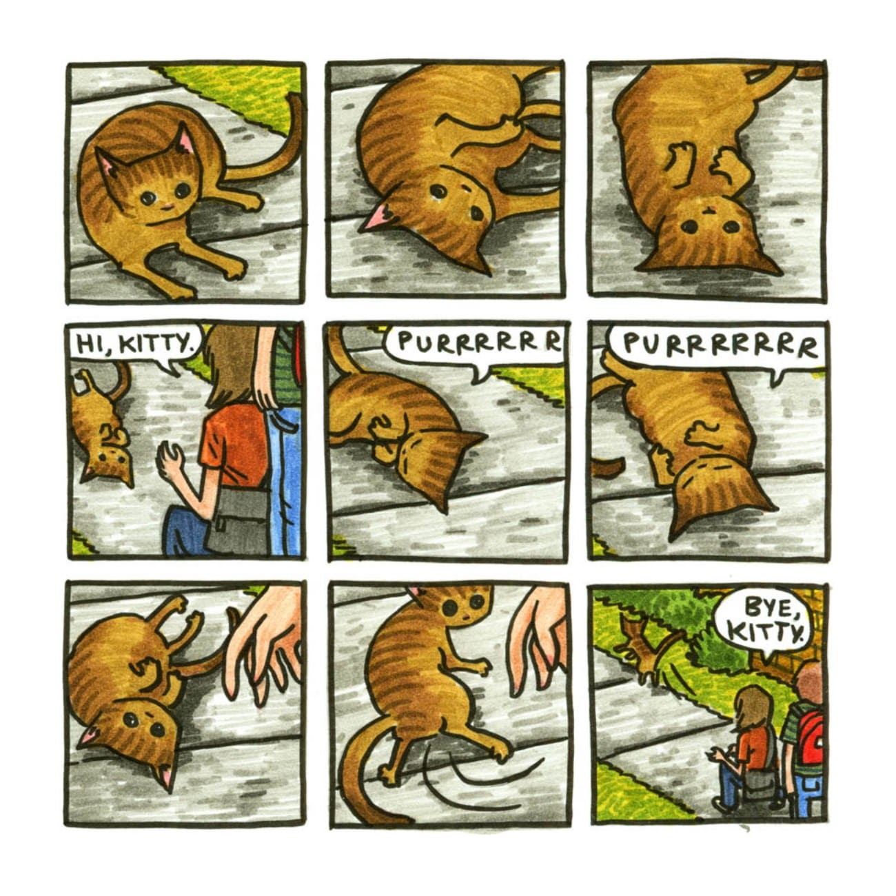 Read online Cats are Weird and More Observations comic -  Issue # TPB - 44