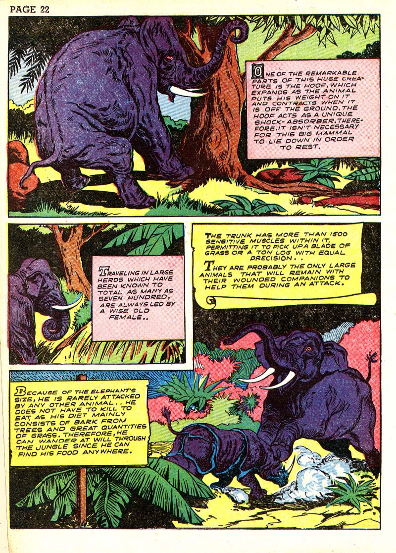 Read online Sheena, Queen of the Jungle (1942) comic -  Issue #3 - 25