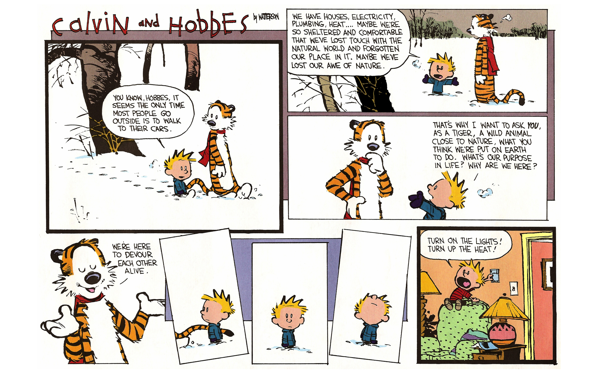 Read online Calvin and Hobbes comic -  Issue #8 - 28