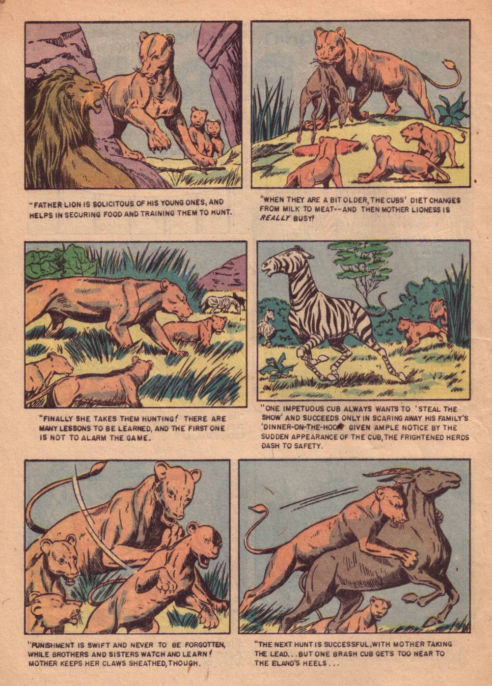 Read online Four Color Comics comic -  Issue #662 - 4