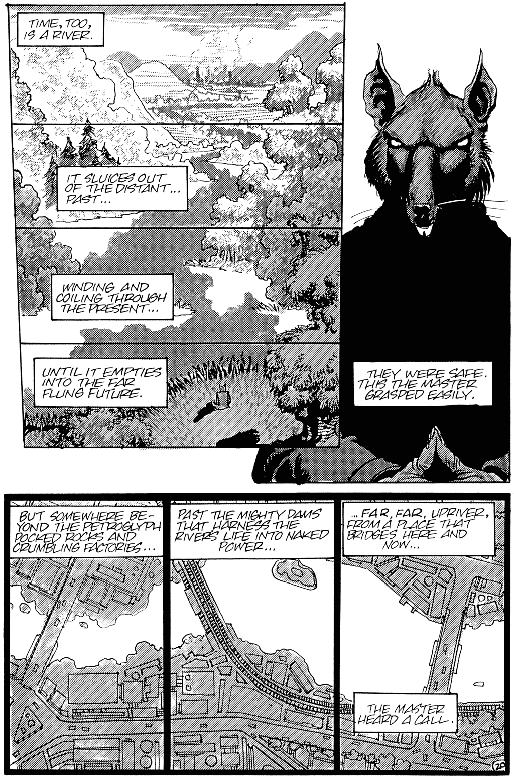 Teenage Mutant Ninja Turtles (1984) Issue #25 #25 - English 22