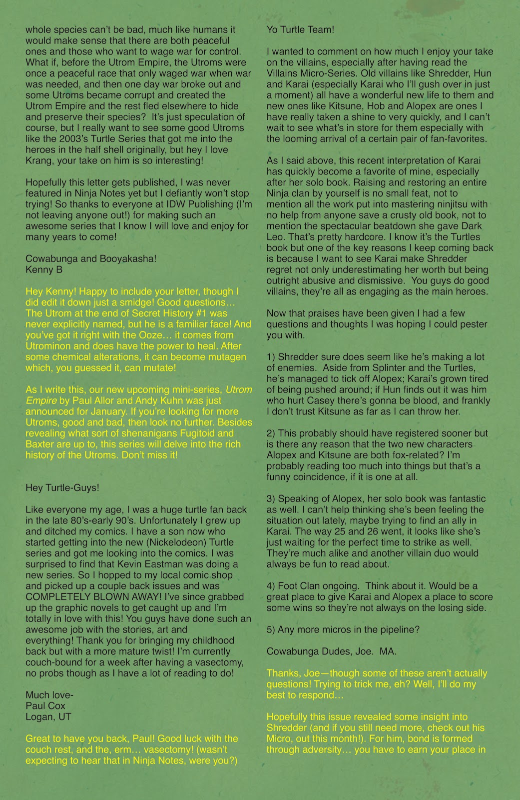 Teenage Mutant Ninja Turtles (2011) issue 28 - Page 30