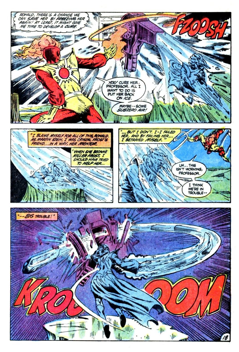 The Fury of Firestorm Issue #21 #25 - English 19