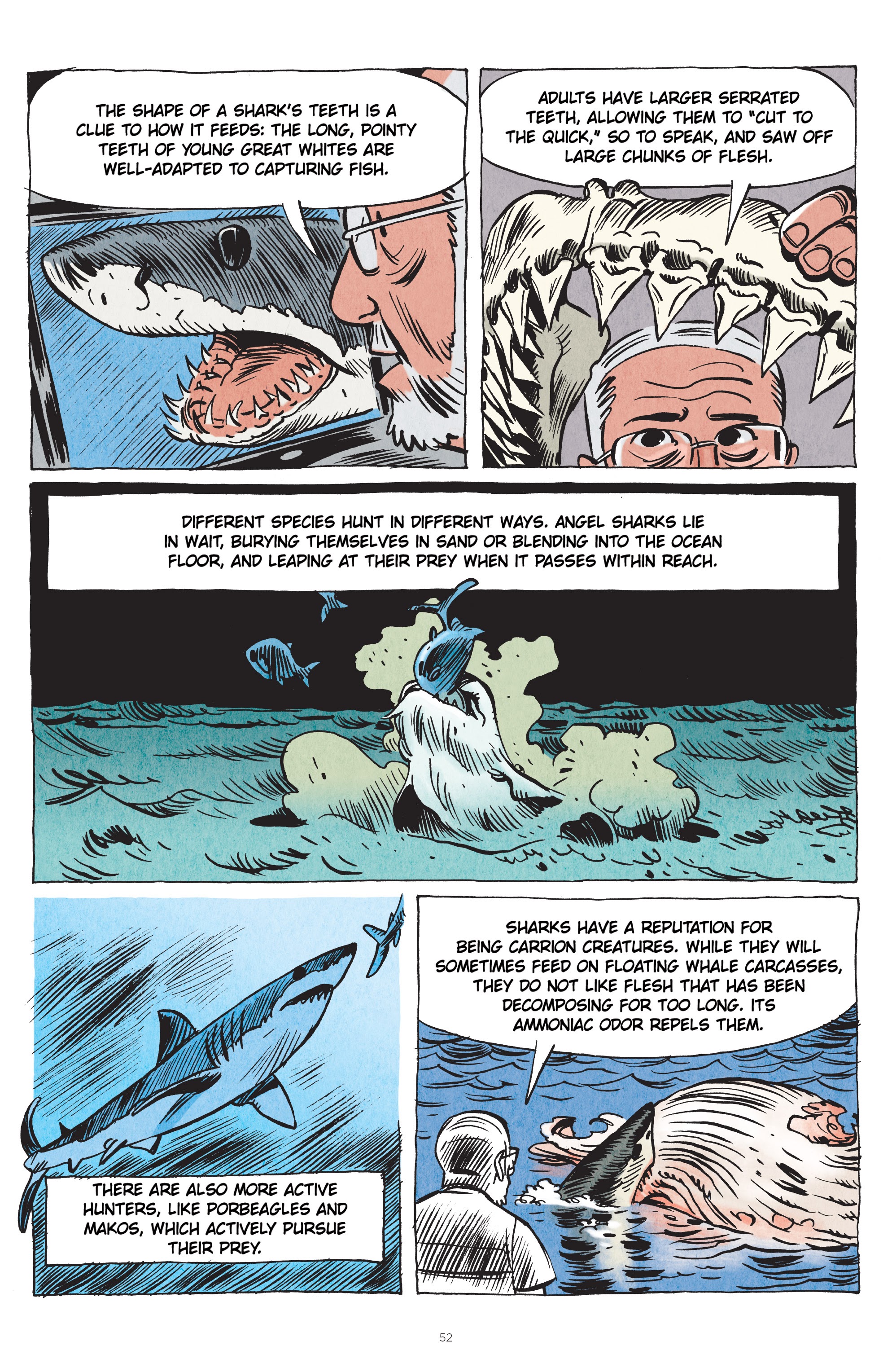 Read online Little Book of Knowledge: Sharks comic -  Issue # TPB - 52
