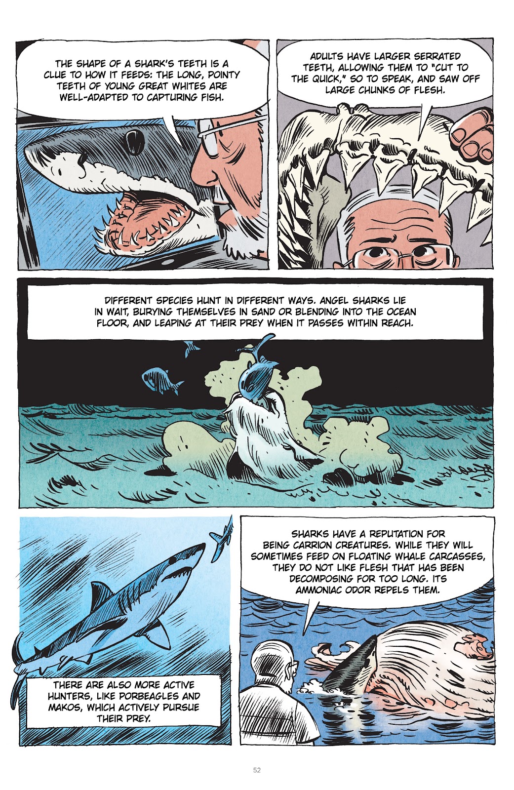 Little Book of Knowledge: Sharks issue TPB - Page 52
