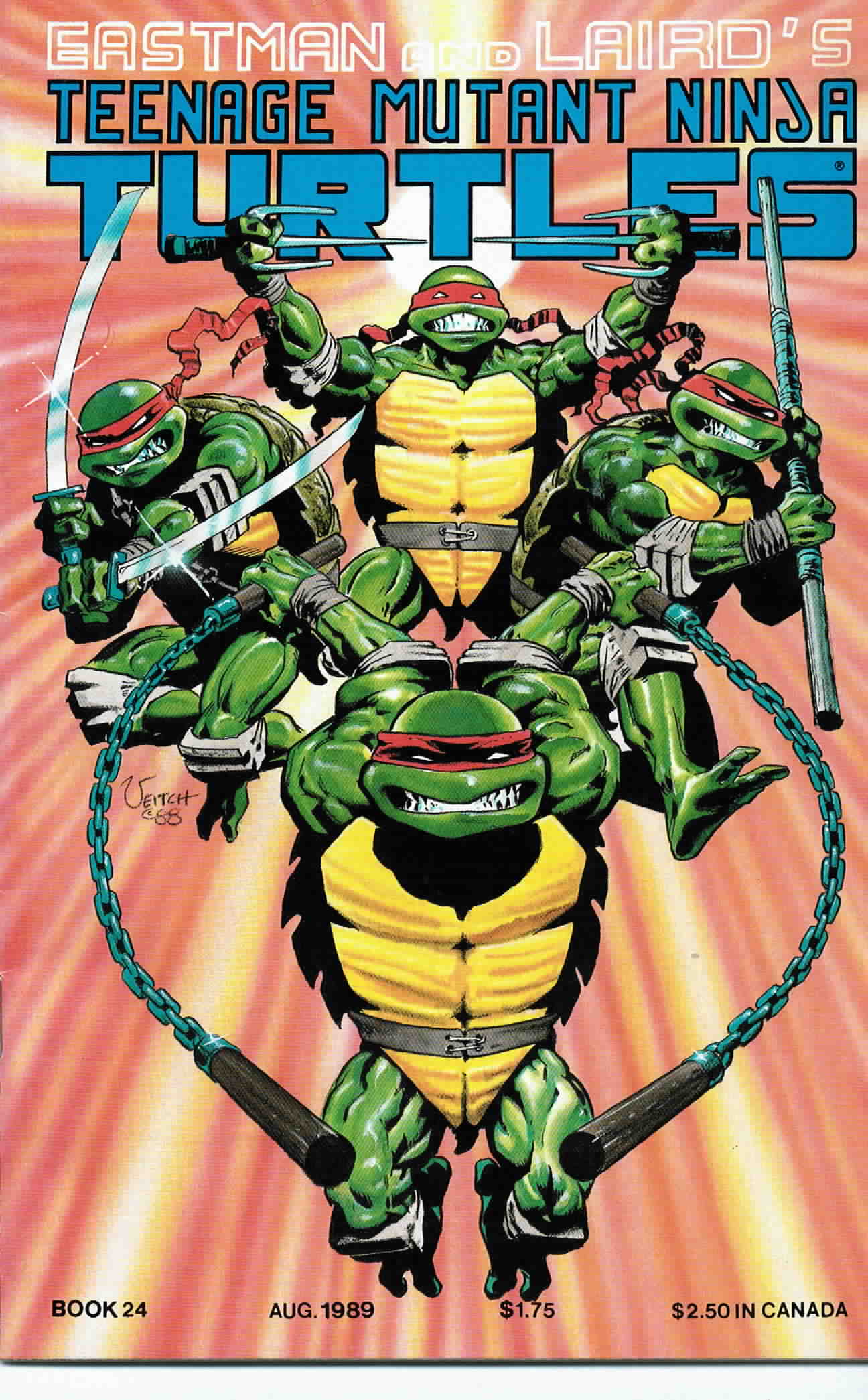 Teenage Mutant Ninja Turtles (1984) Issue #24 #24 - English 1