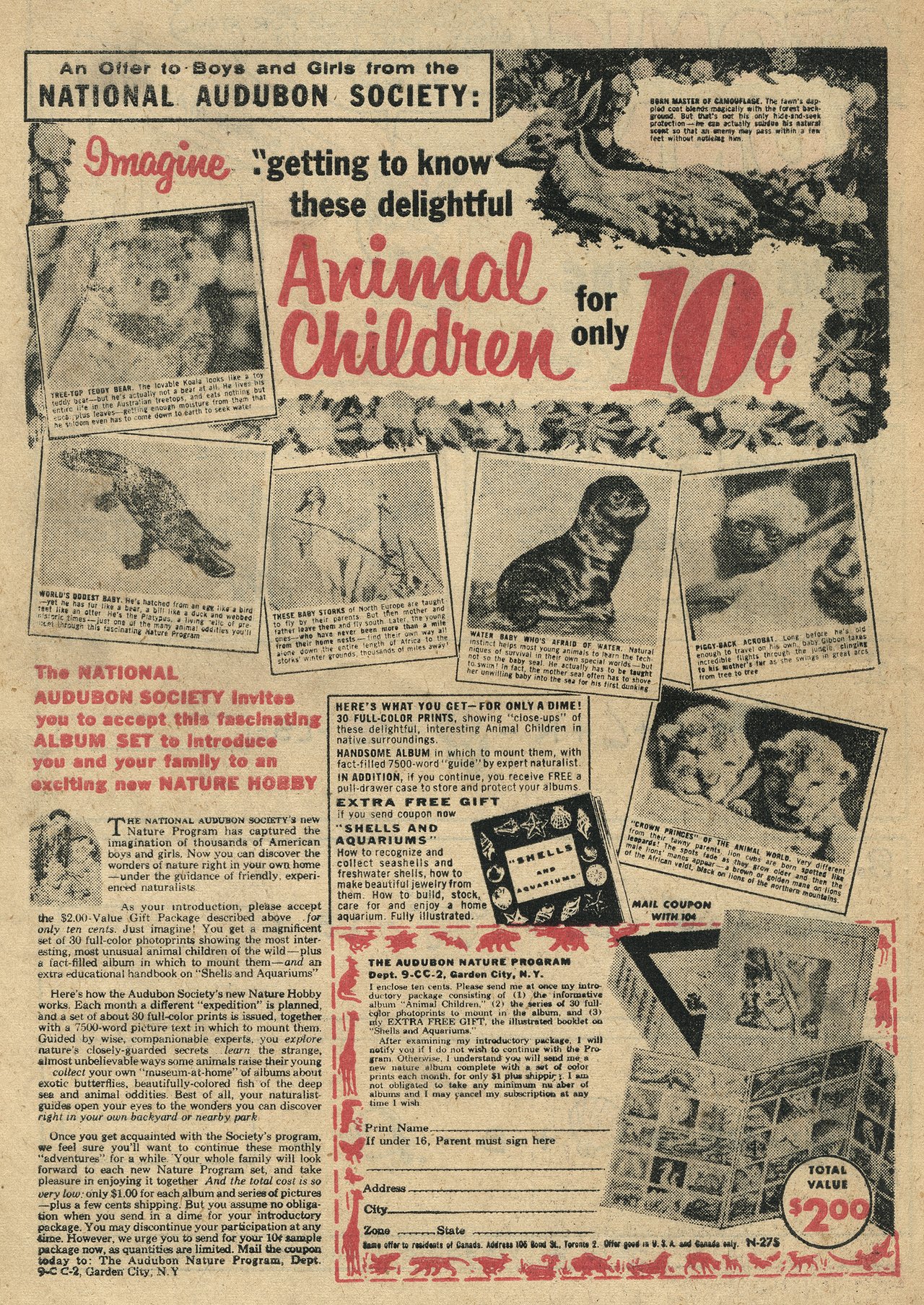 Read online Atomic Bunny comic -  Issue #15 - 33