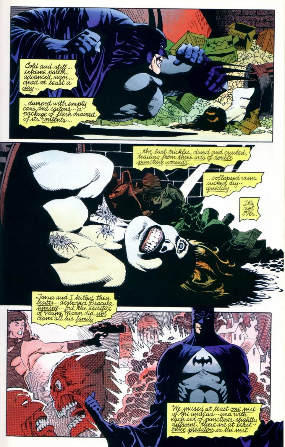 Read online Batman: Bloodstorm comic -  Issue # Full - 13