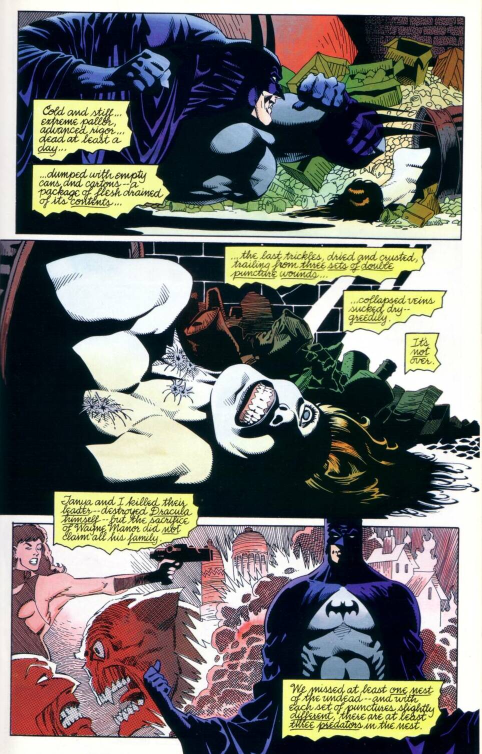 Batman: Bloodstorm issue Full - Page 13