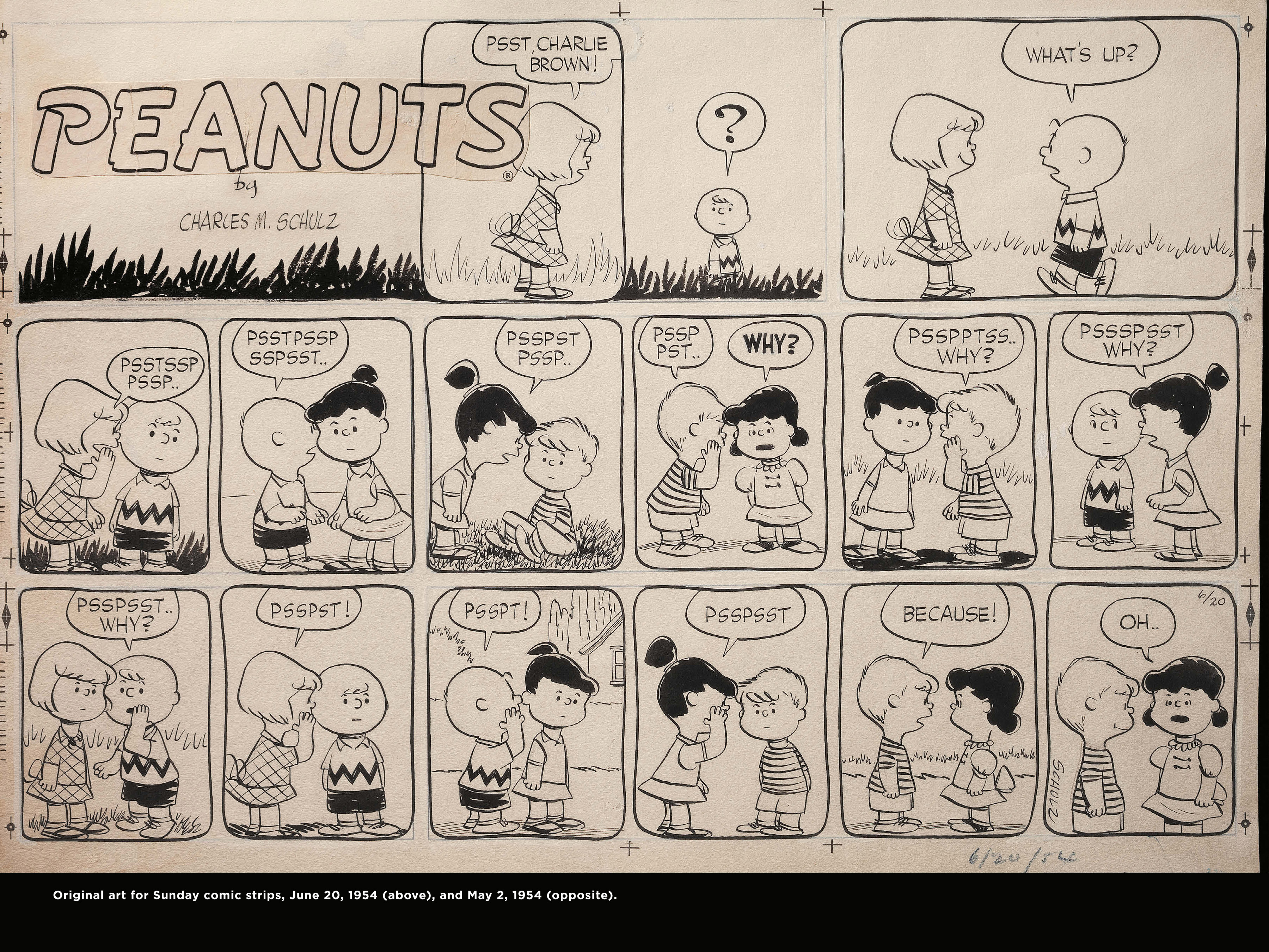 Read online Only What's Necessary: Charles M. Schulz and the Art of Peanuts comic -  Issue # TPB (Part 2) - 26