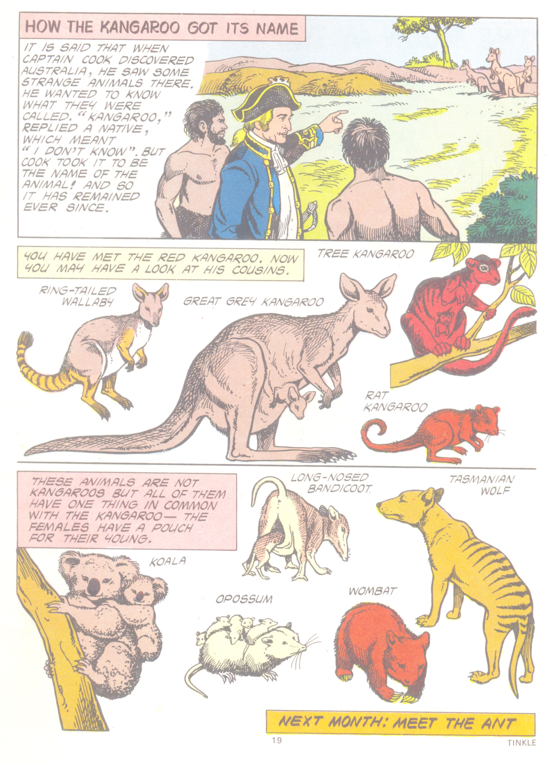 Read online Tinkle comic -  Issue #4 - 21