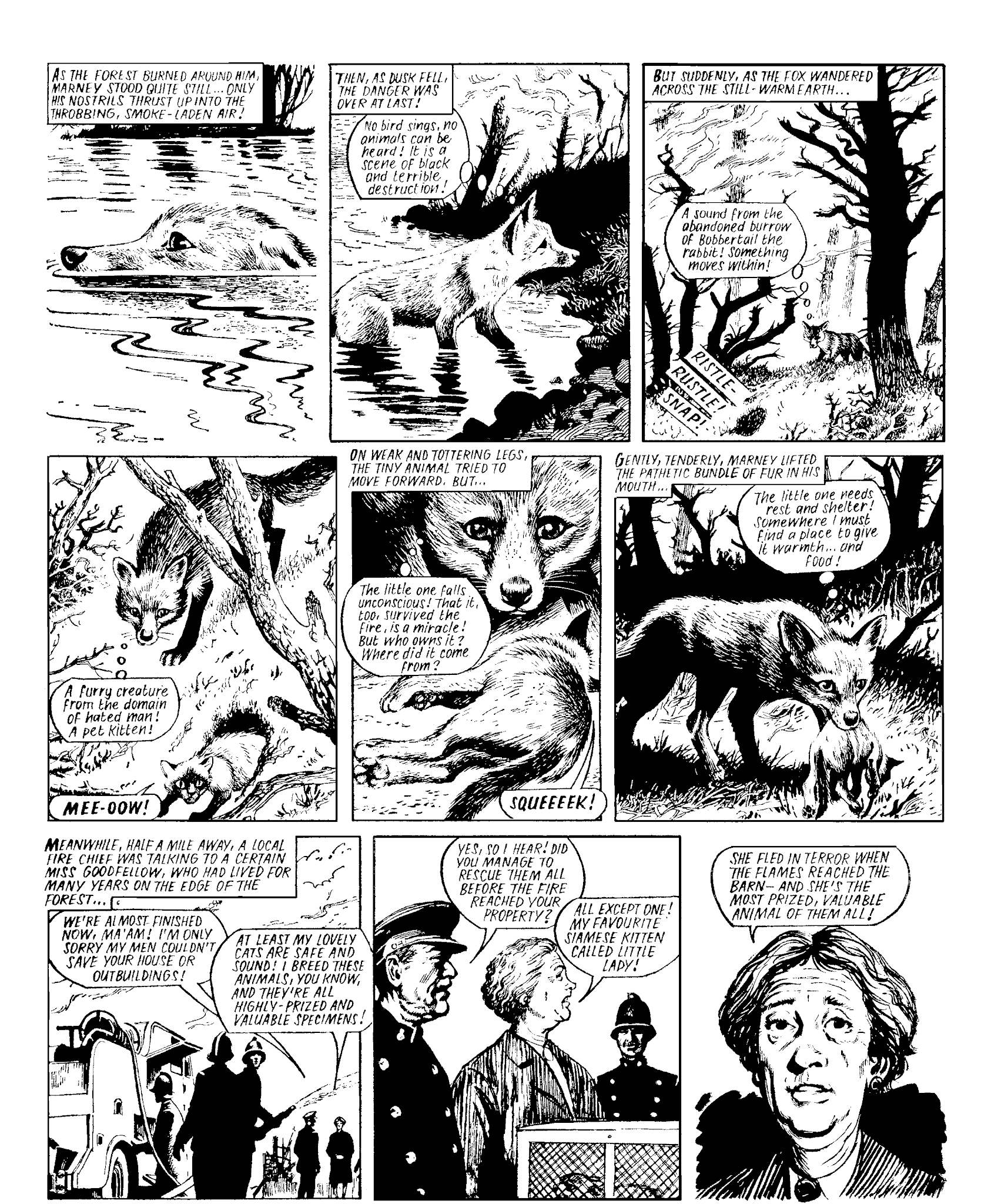 Read online Marney the Fox comic -  Issue # TPB (Part 2) - 11