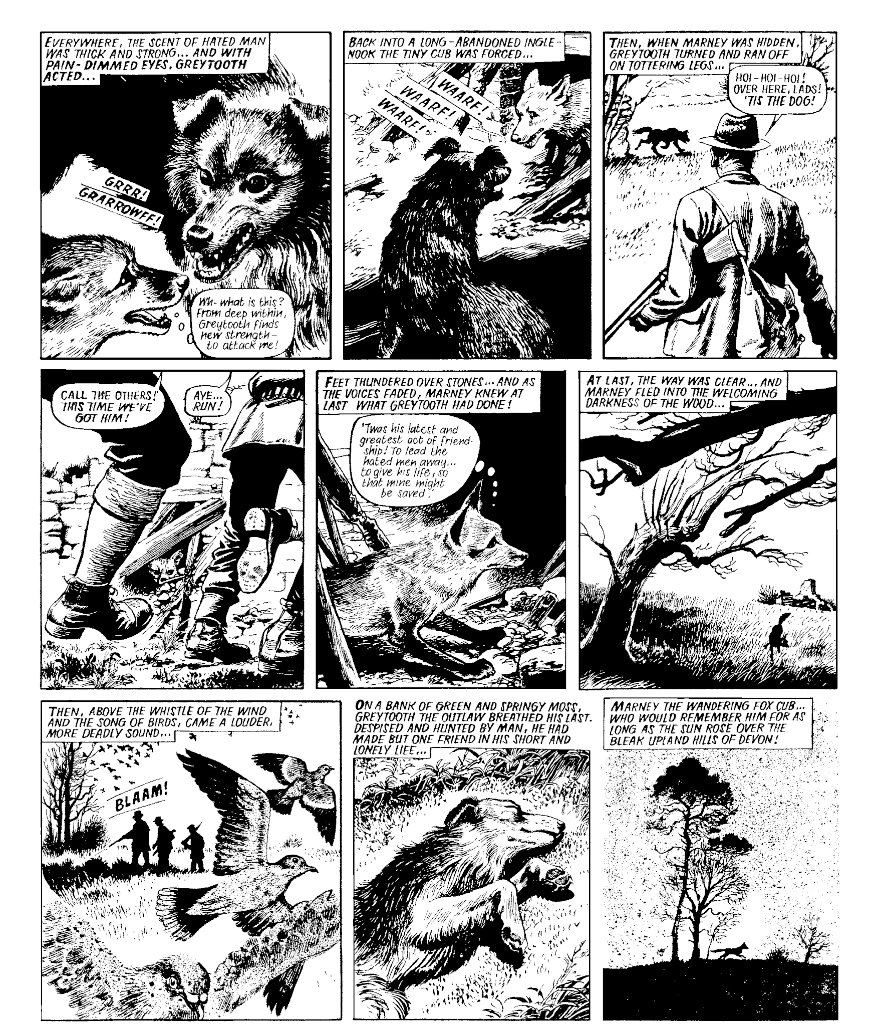 Read online Marney the Fox comic -  Issue # TPB (Part 1) - 66