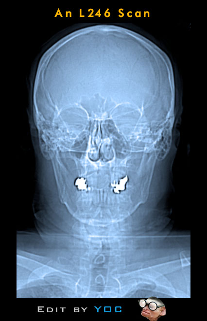 Read online Famous Funnies comic -  Issue #159 - 53