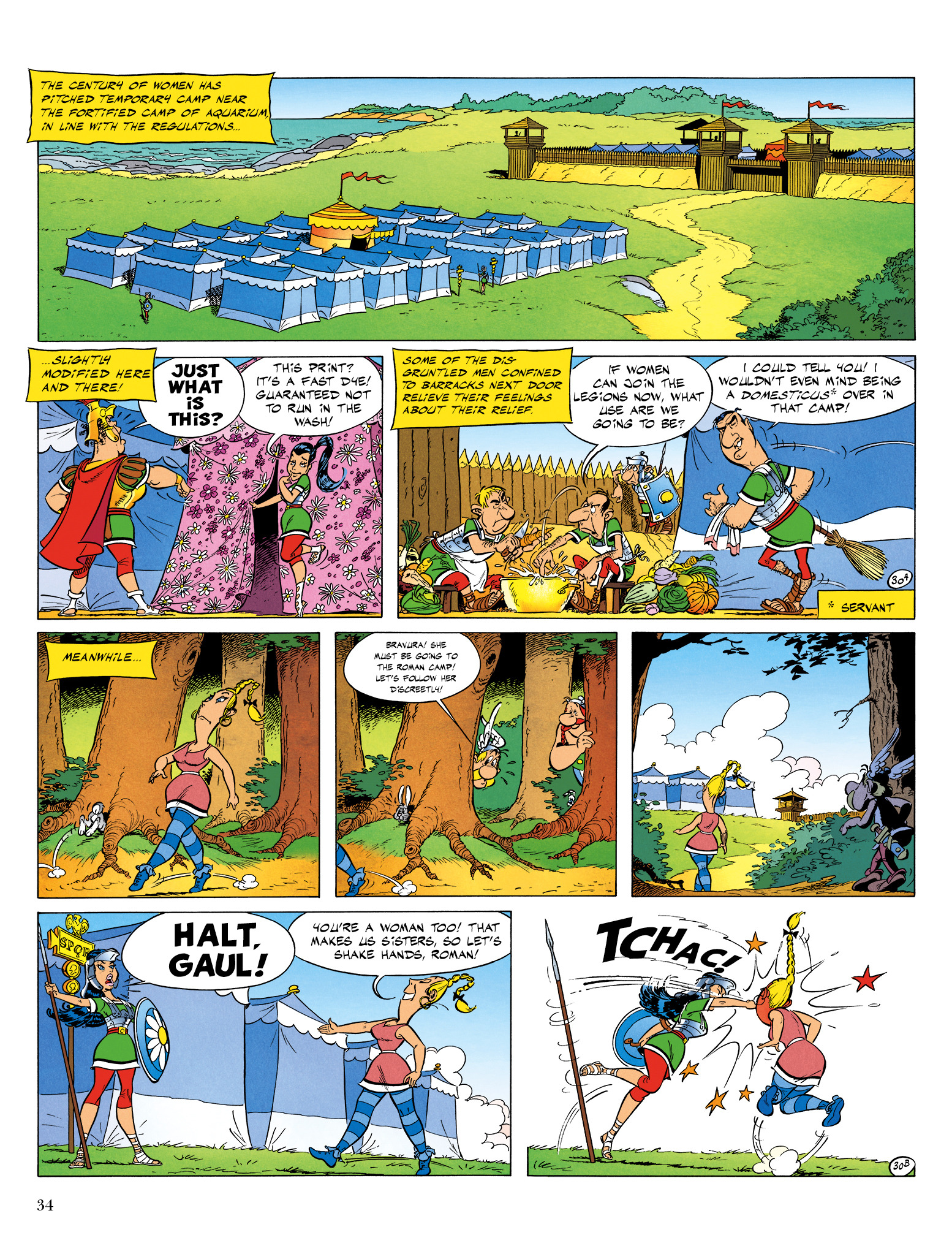 Read online Asterix comic -  Issue #29 - 35