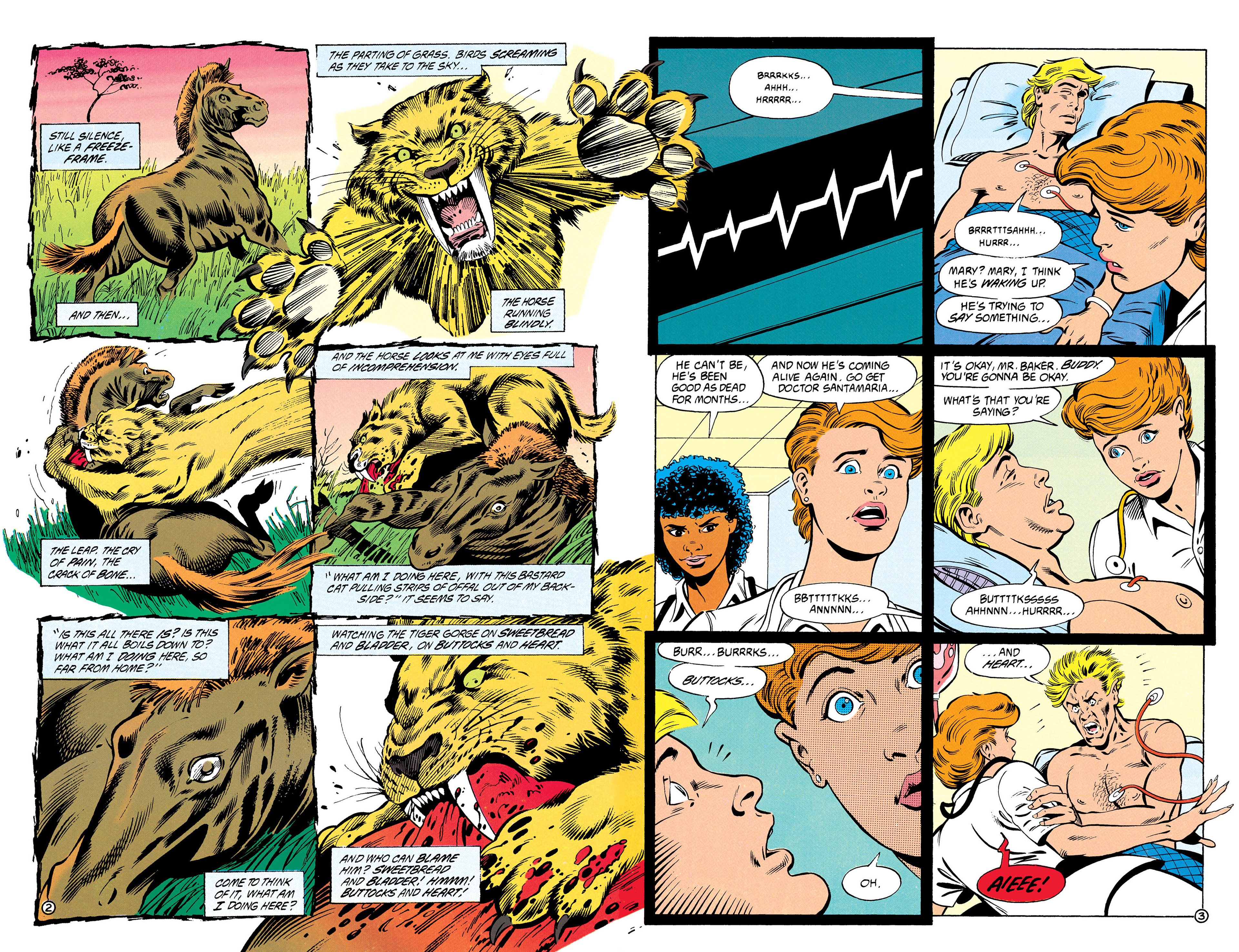 Read online Animal Man (1988) comic -  Issue #27 - 3