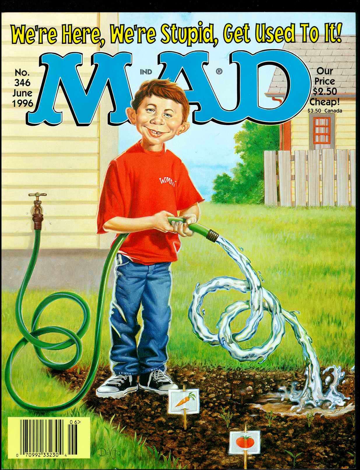 Read online MAD comic -  Issue #346 - 1