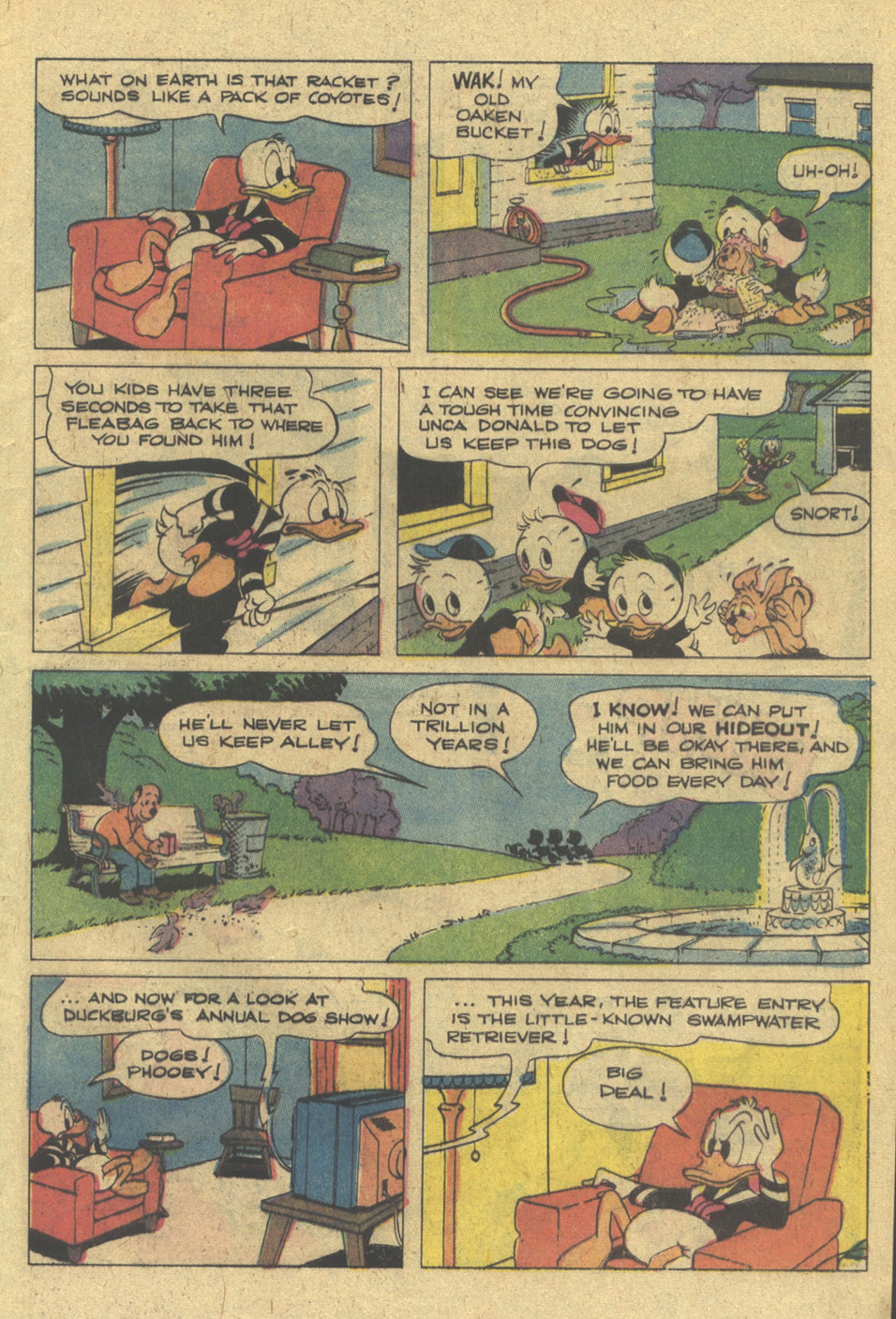 Read online Donald Duck (1962) comic -  Issue #169 - 5