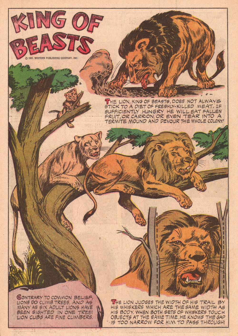 Read online Korak, Son of Tarzan (1964) comic -  Issue #10 - 18